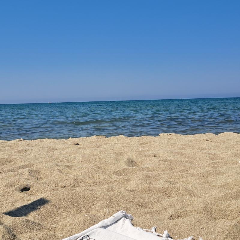 Fotosegnalazione di Viareggio