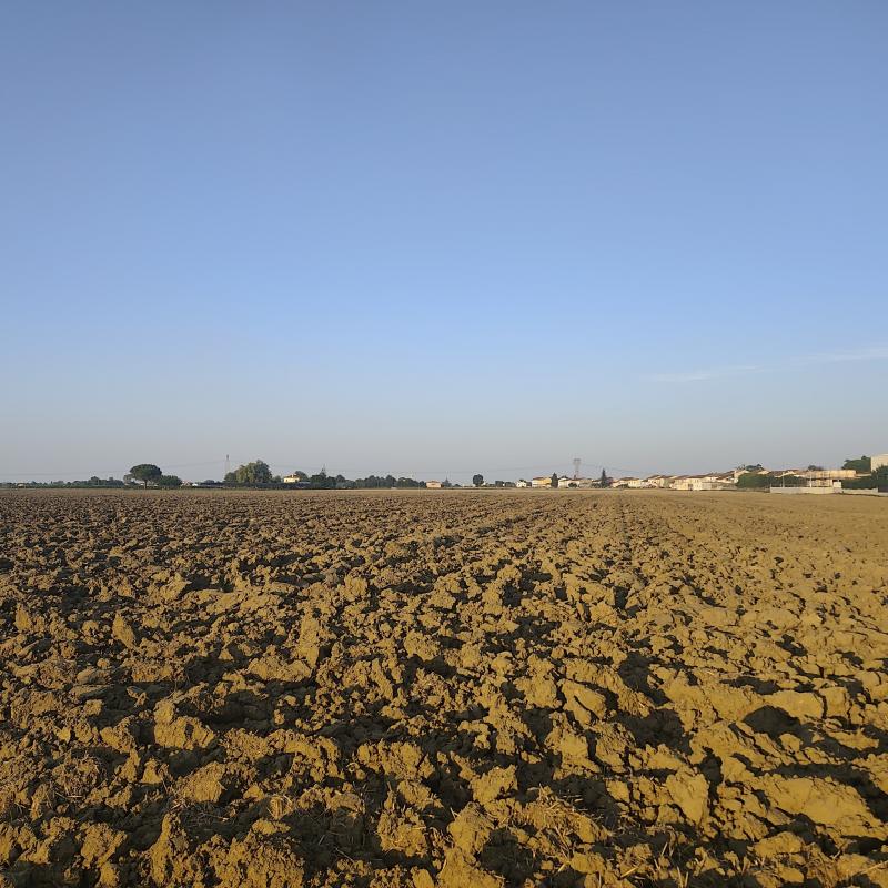 Fotosegnalazione di Bagnarola
