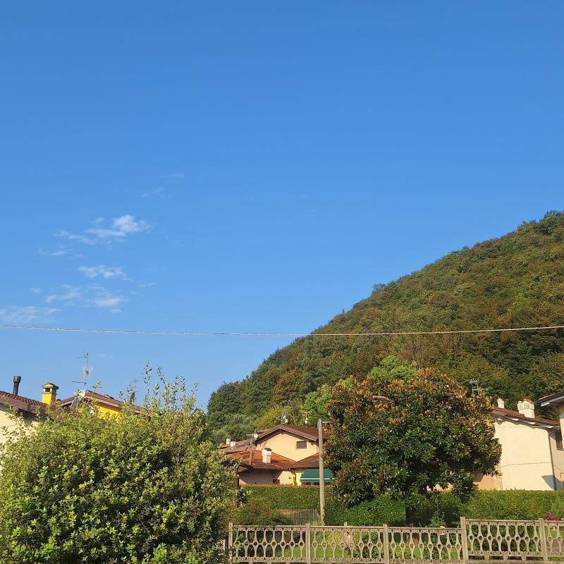 Fotosegnalazione di Monticelli brusati