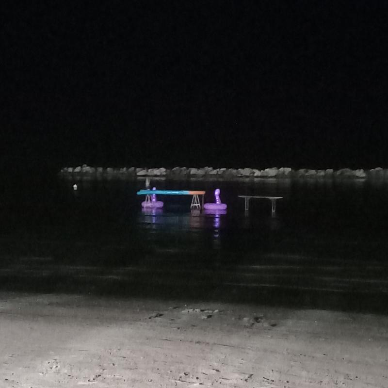 Fotosegnalazione di Bellaria igea marina