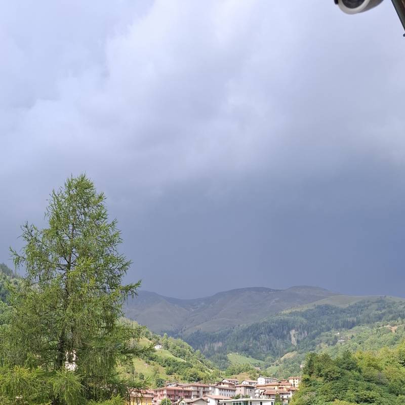 Fotosegnalazione di Collio
