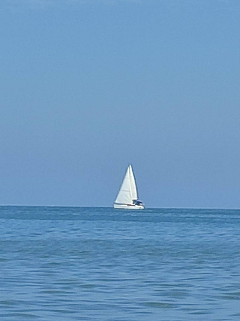 nel blu dipinto di blu