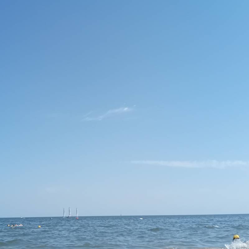 Fotosegnalazione di Casalborsetti
