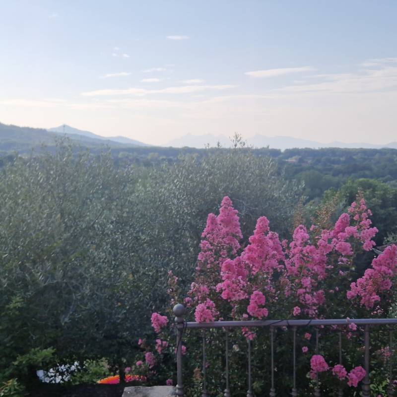 Fotosegnalazione di Filattiera