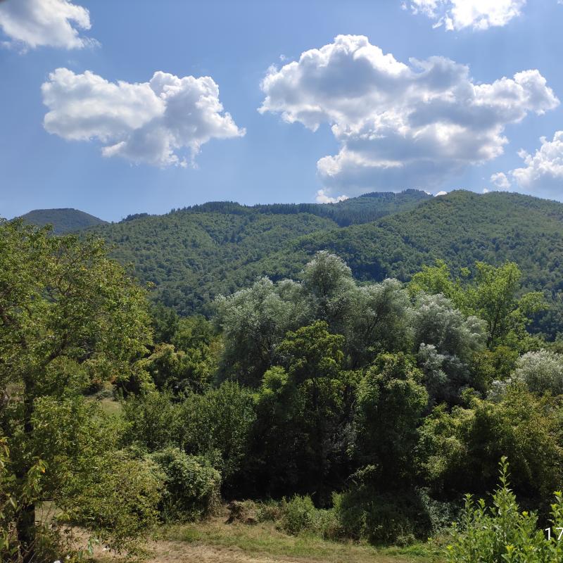 Fotosegnalazione di San marcello piteglio