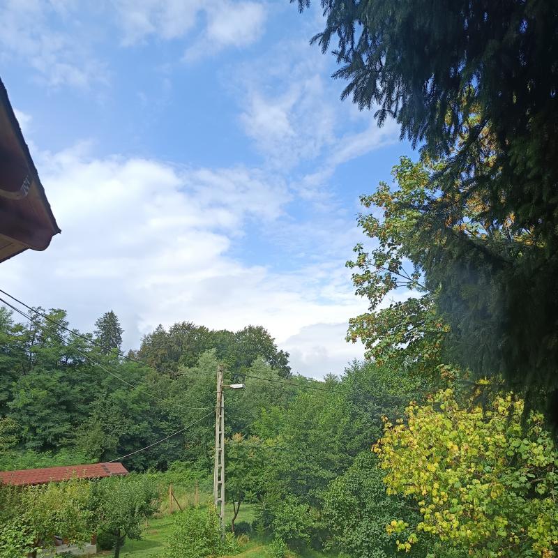 Fotosegnalazione di Smbta de sus