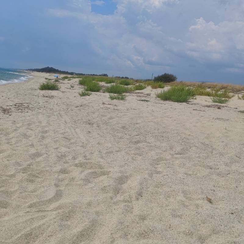 Fotosegnalazione di Belcastro