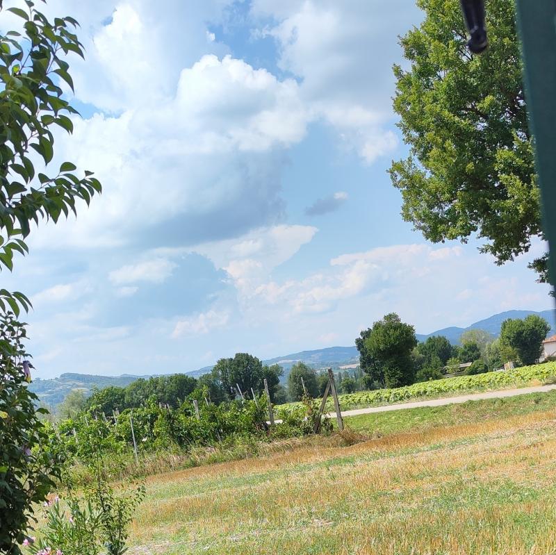 Fotosegnalazione di Gubbio