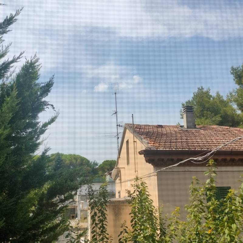 Fotosegnalazione di Bottega
