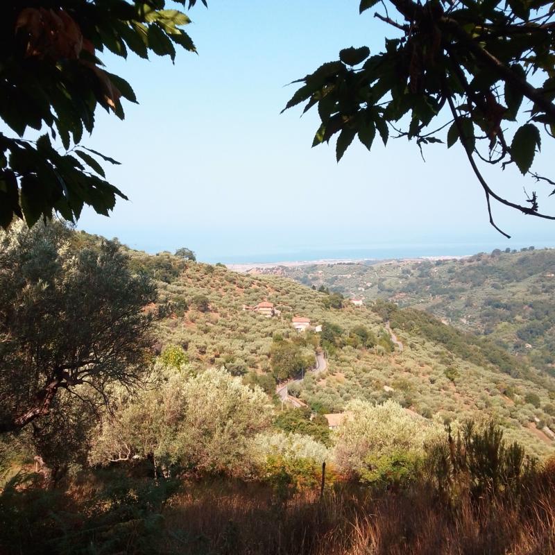 Fotosegnalazione di Nocera terinese