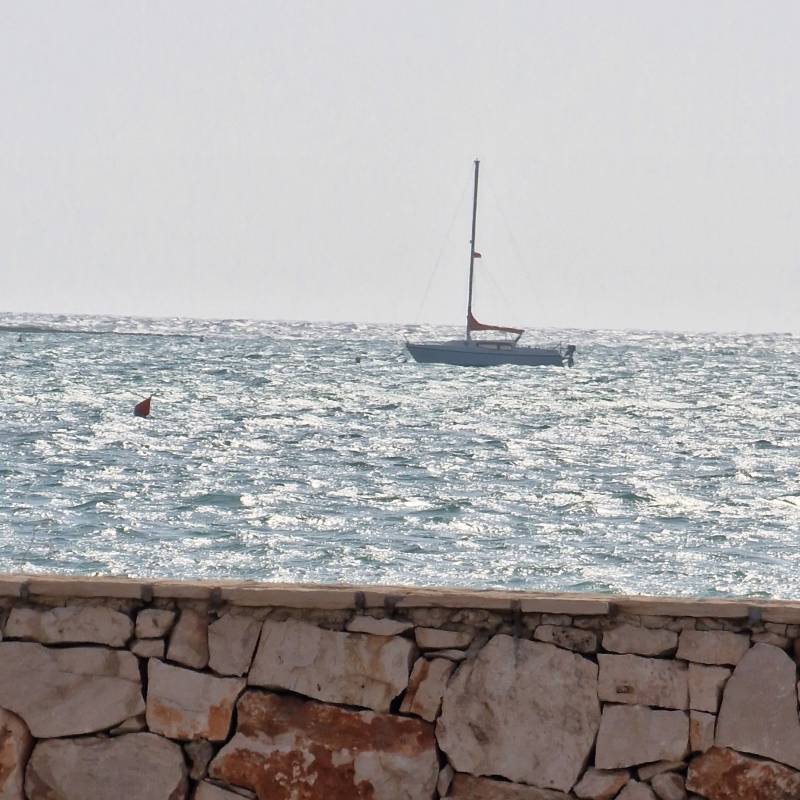 Fotosegnalazione di Porto cesareo