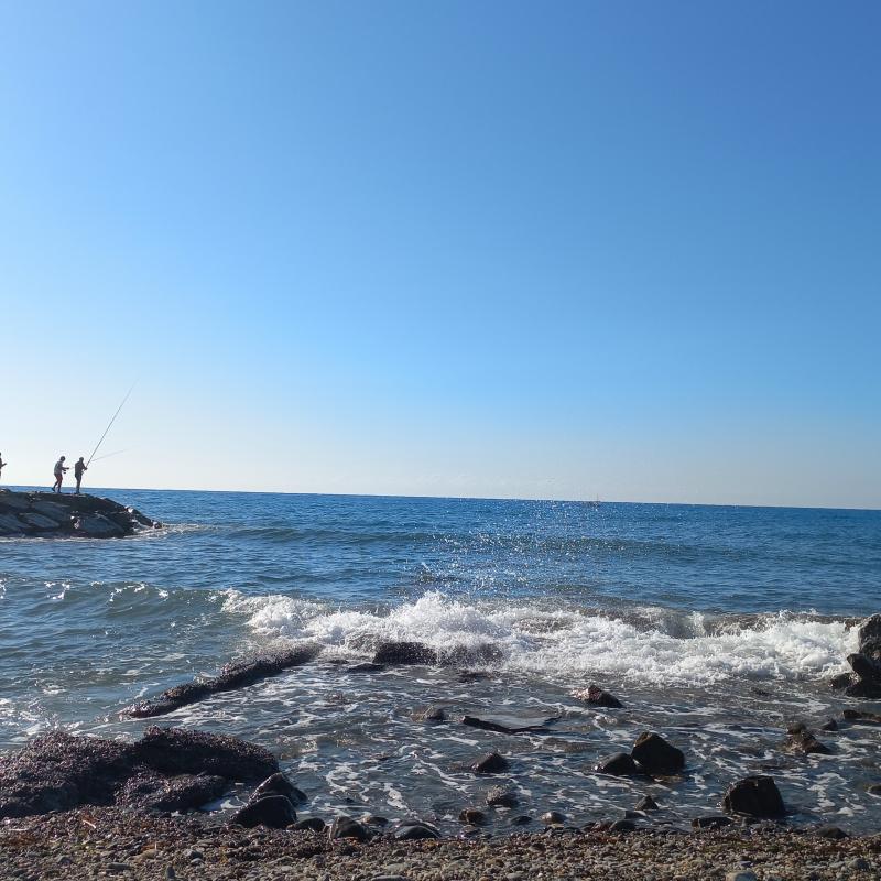 Fotosegnalazione di San bartolomeo al mare