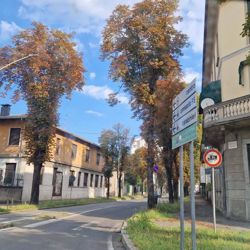 Fotosegnalazione di Busto arsizio