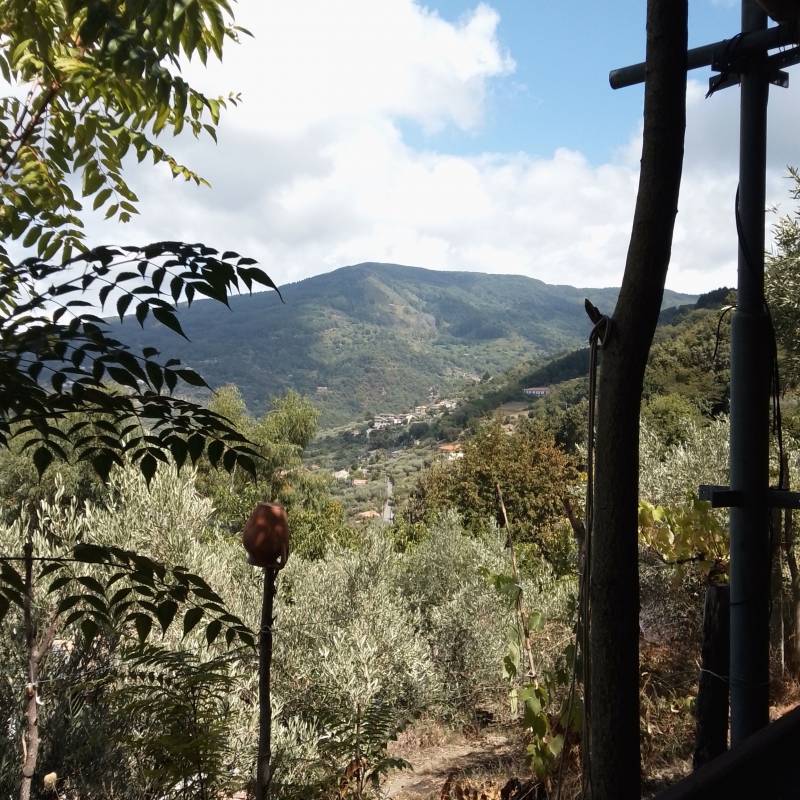 Fotosegnalazione di Martirano lombardo