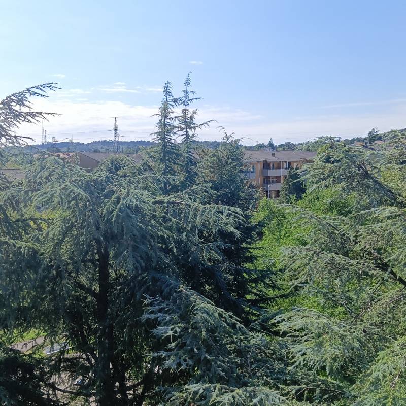 Fotosegnalazione di Villa opicina
