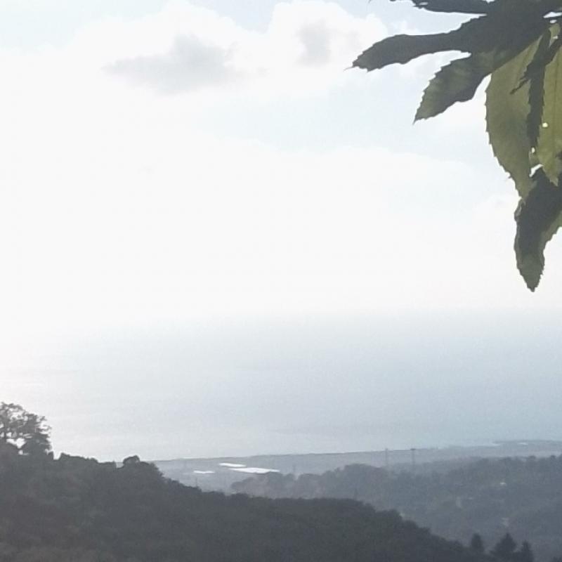 Fotosegnalazione di Nocera terinese