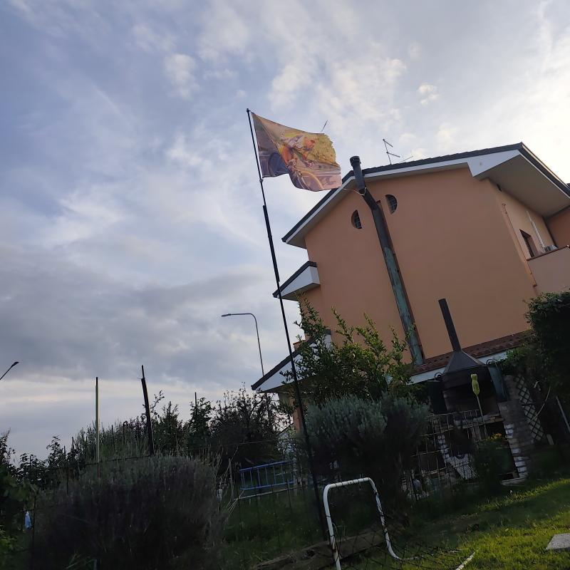 Fotosegnalazione di Bagnarola