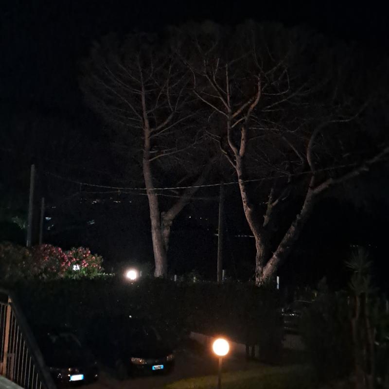 Serata piacevole a paestum