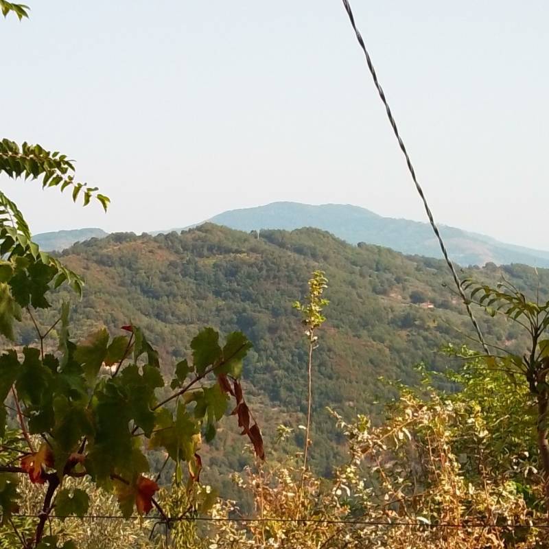 Fotosegnalazione di Aiello calabro