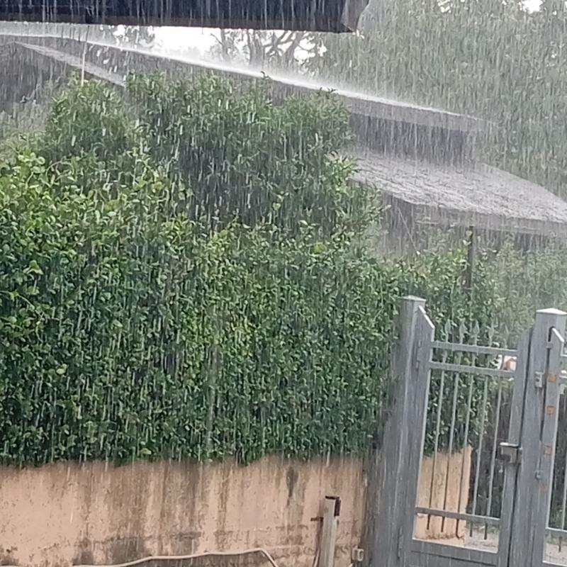 Fotosegnalazione di Cassino