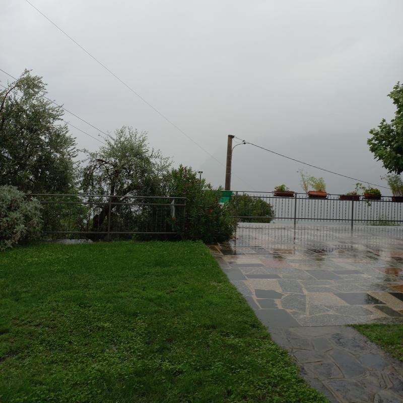 Fotosegnalazione di Zorzino