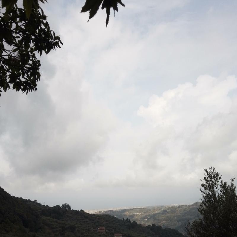 Fotosegnalazione di Nocera terinese
