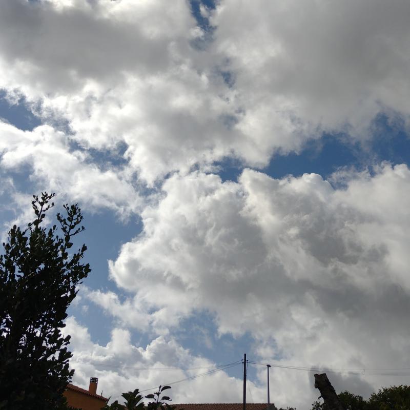 Fotosegnalazione di Tempio pausania