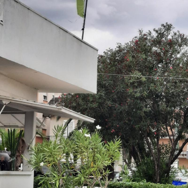 Fotosegnalazione di San benedetto del tronto