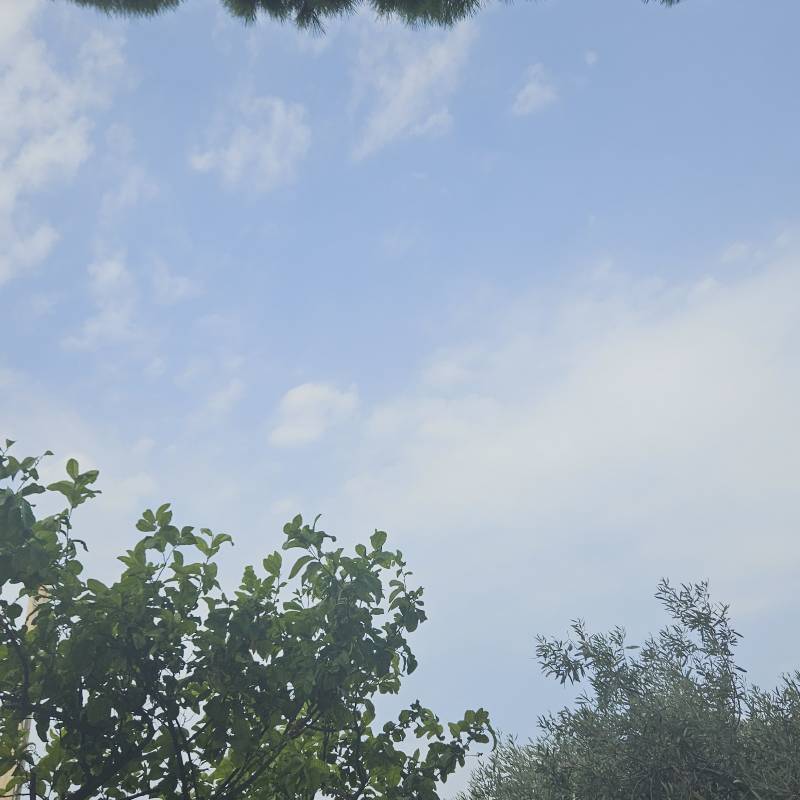 Fotosegnalazione di Motta san giovanni