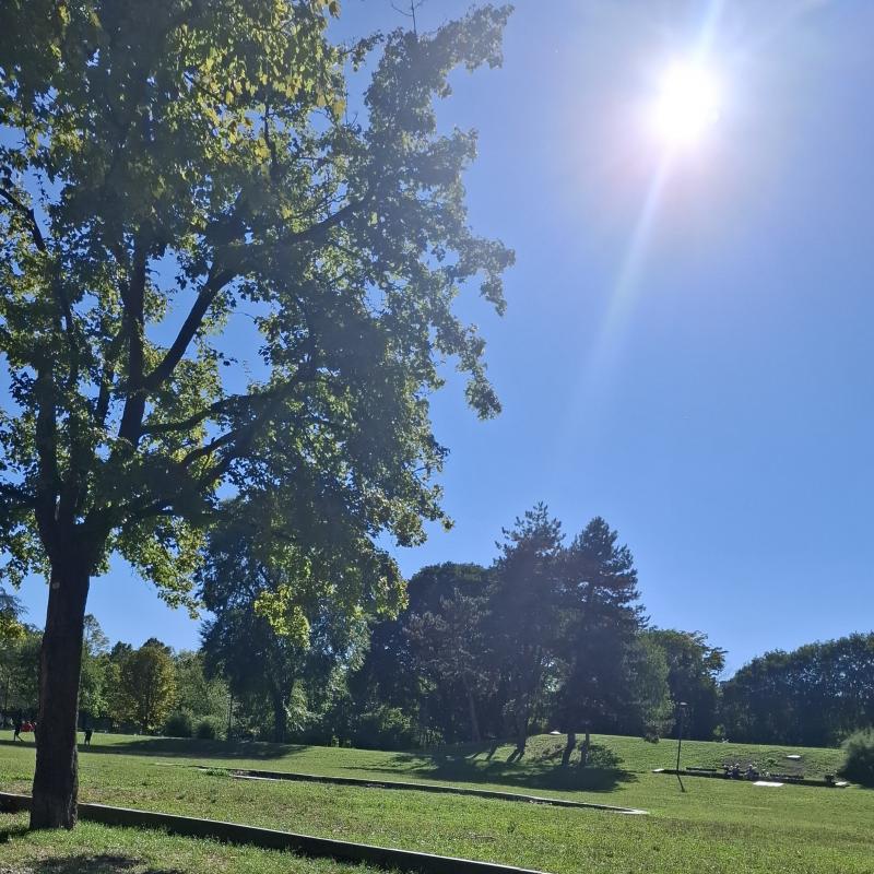 Fotosegnalazione di Torino borgo san paolo - cit turin