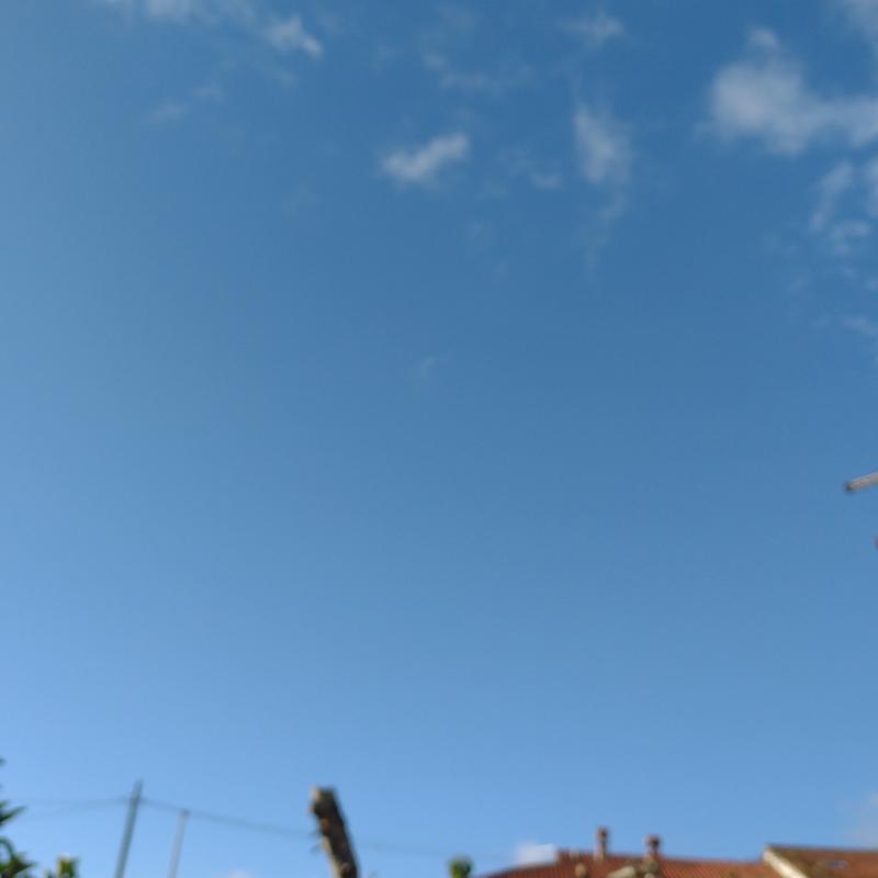 Fotosegnalazione di Tempio pausania
