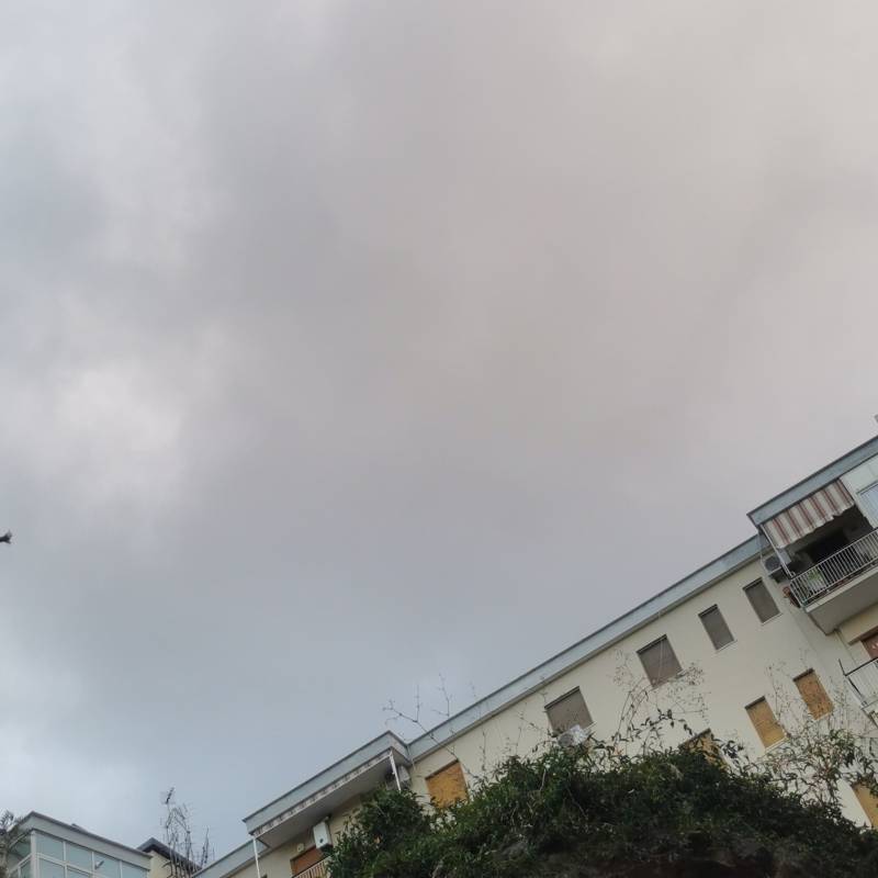 Fotosegnalazione di Palermo malaspina - palagonia