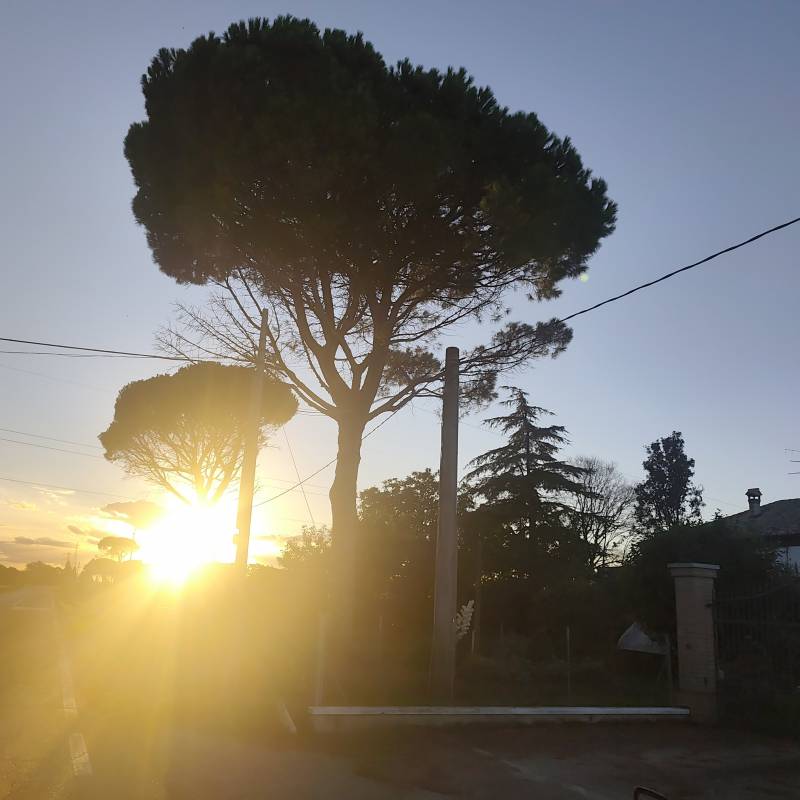 Fotosegnalazione di Ravenna castiglione