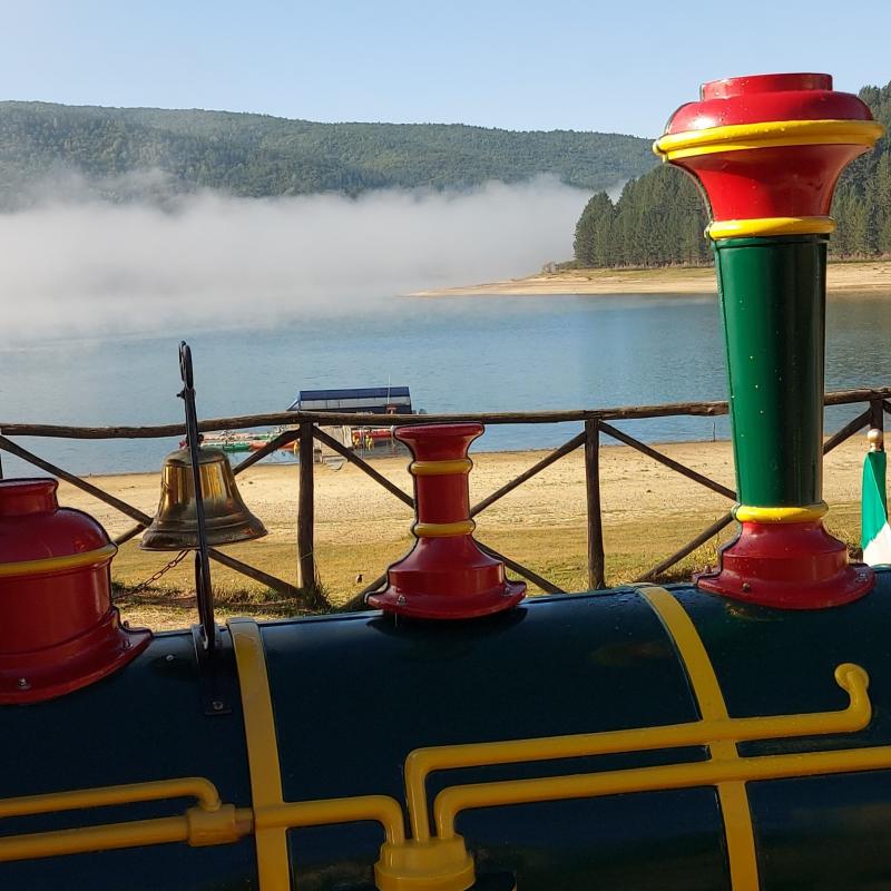 Lorica-lago arvo