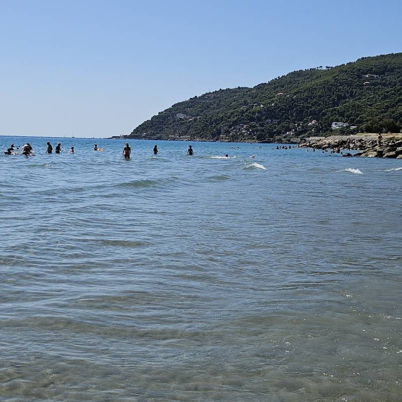 Fotosegnalazione di Capo mele