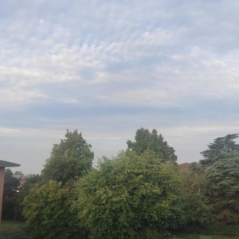 Fotosegnalazione di Pavia centro urbano