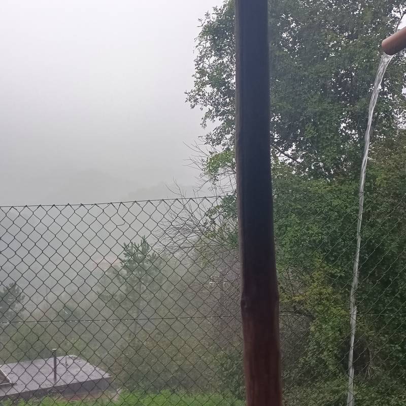 Fotosegnalazione di San colombano certenoli