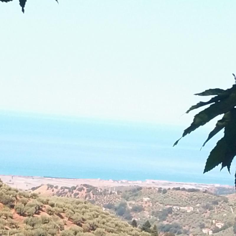 Fotosegnalazione di Nocera terinese