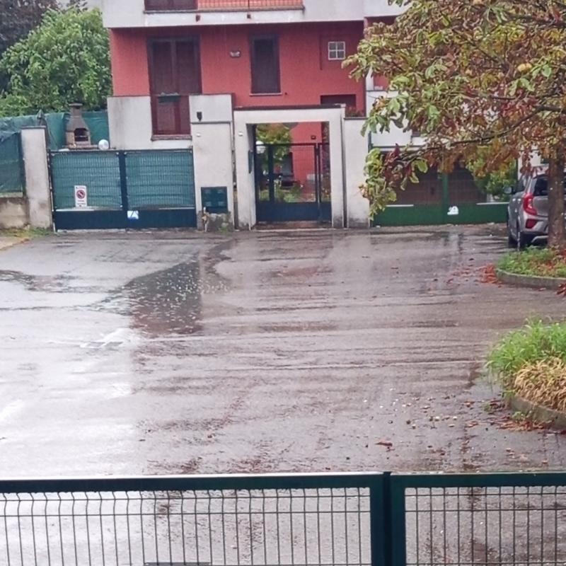 Fotosegnalazione di Ossona