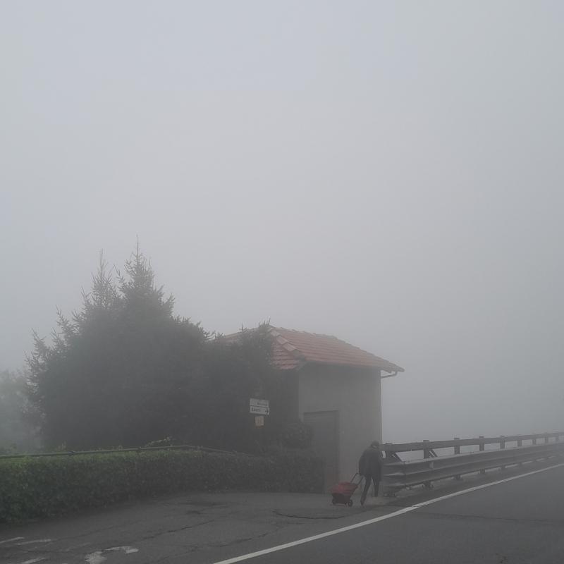 Fotosegnalazione di Pratiglione