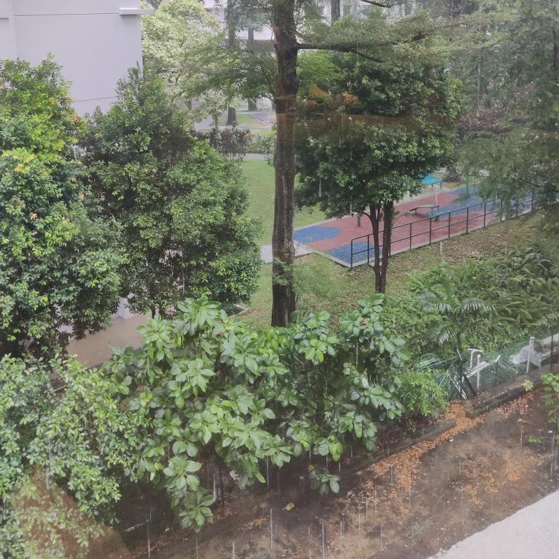 Fotosegnalazione di Singapore
