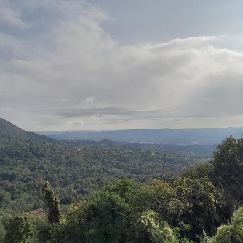 Fotosegnalazione di Pratiglione