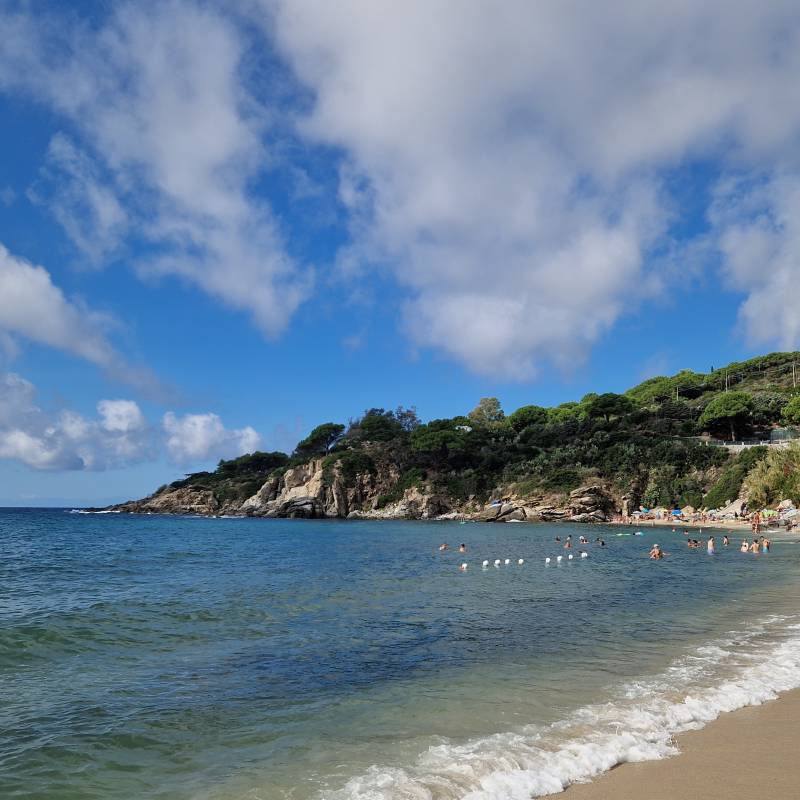 Spiaggia di cavoli