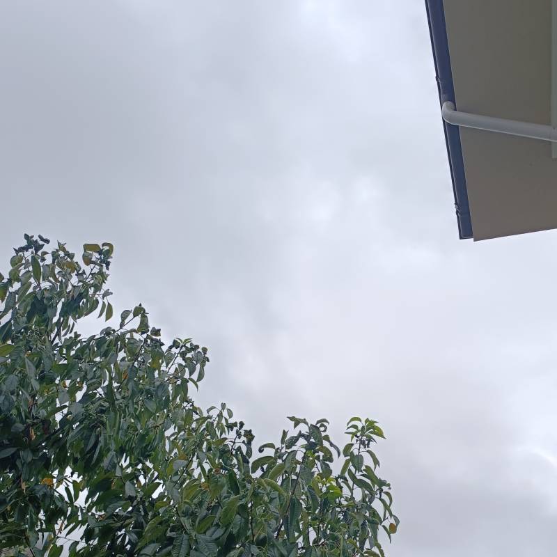Fotosegnalazione di Brila