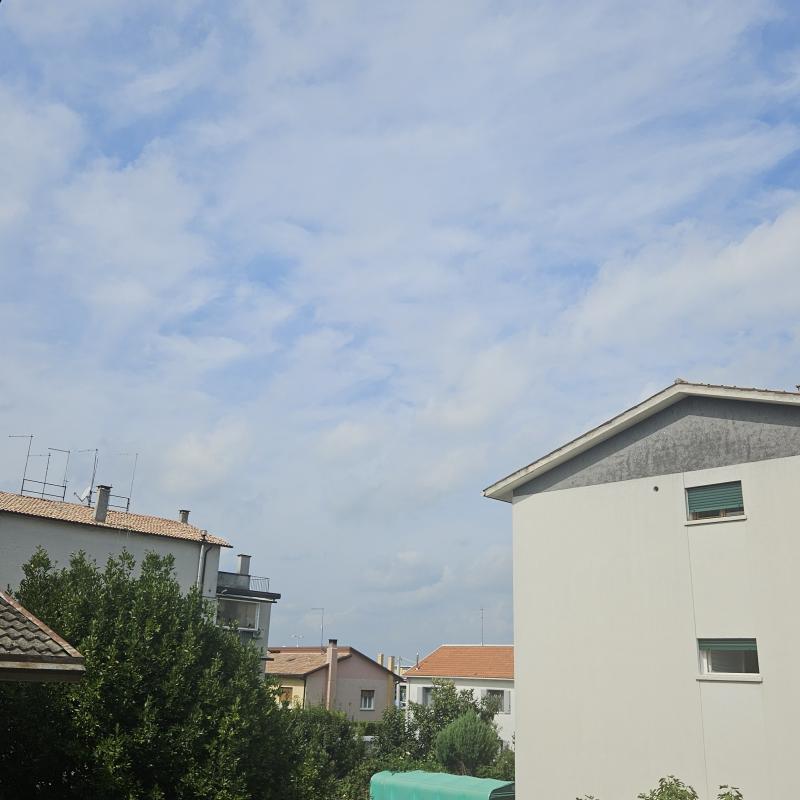 Fotosegnalazione di Zero branco