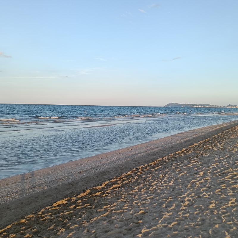 Fotosegnalazione di Fogliano marina