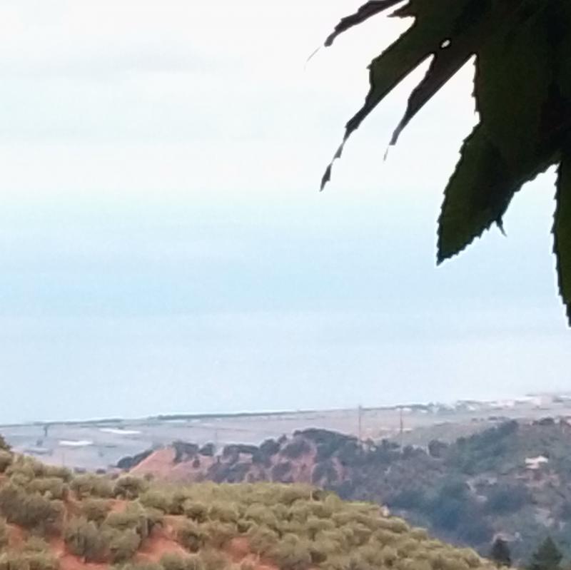 Fotosegnalazione di Nocera terinese
