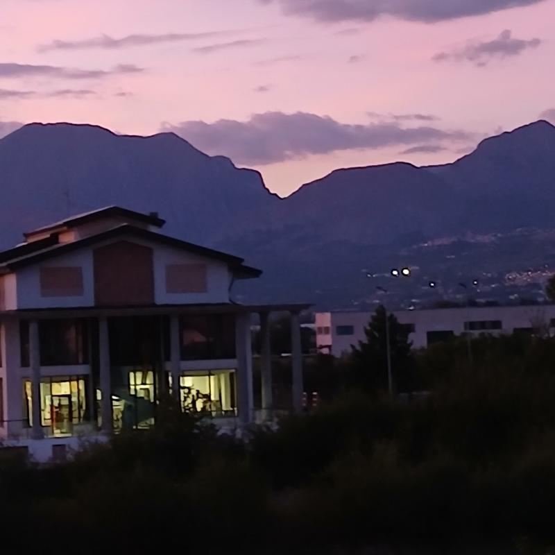 Bella addormentata