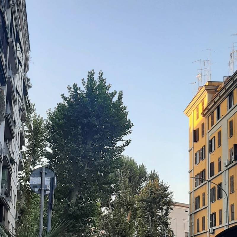 Fotosegnalazione di Roma tiburtino