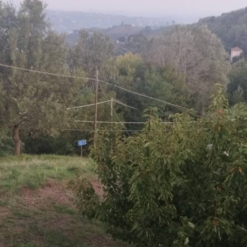 Fotosegnalazione di Cassinasco